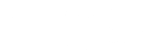 Bespoke Dashboard Solutions logo white